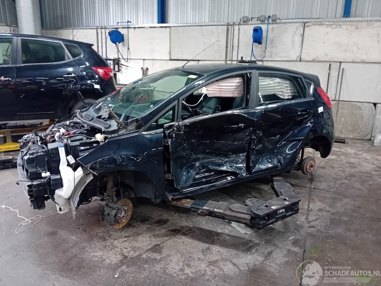 Ford Fiesta Fiesta 6 (JA8) Hatchback 1.0 EcoBoost 12V 100 (SFJA(Euro 5)) [74kW]  (=
01-2013/06-2017)