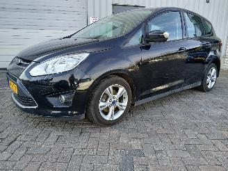 Ford C-Max C-Max (DXA) MPV 1.0 Ti-VCT EcoBoost 12V 125 (M1DA(Euro 5)) [92kW]  (10=
-2012/06-2019) picture 3