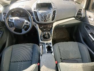 Ford C-Max C-Max (DXA) MPV 1.6 SCTi 16V (JQDB(Euro 5)) [110kW]  (12-2010/12-2014)= picture 10