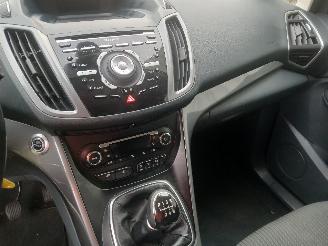 Ford C-Max C-Max (DXA) MPV 1.0 Ti-VCT EcoBoost 12V 125 (M1DA(Euro 5)) [92kW]  (10=
-2012/06-2019) picture 14