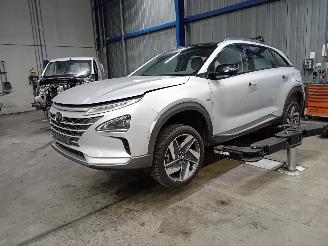 Auto da rottamare Hyundai Nexo Nexo I Hatchback FCEV FWD (FM12) [120kW]  (03-2018/...) 2019/4
