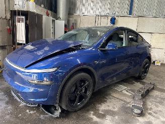 disassembly passenger cars Tesla  Model Y SUV RWD 58 kWh, Long Range RWD 75 kWh (4D3) [220kW]  (01-2025/=
=2E..) 2025/6