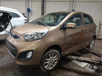 Vrakbiler auto Kia Picanto Picanto (TA) Hatchback 1.0 12V (G3LA) [51kW]  (05-2011/06-2017) 2011/12