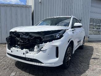 Unfallwagen DFSK Navor E5 1.5 PHEV 2025/6