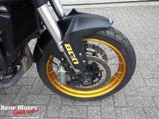 QJMotor SRT 800 SX  picture 14