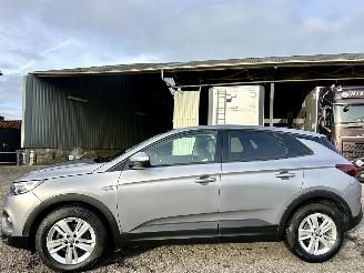 Opel Grandland X 1.2 Turbo 131pk 6-bak Online Edition - nap - navi - clima - cruise - pdc v+a - carplay - privacy glass 2018/9