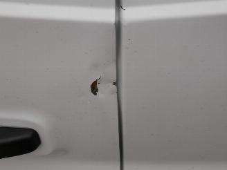 Fiat Talento L1H1 picture 9