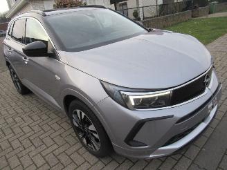 skadebil auto Opel Grandland GrandLand X 1.2B 130pk AUT. INNOVATION  Climatronic HalfLeer Navi Camera Stoel/StuurVerwarming 2023/4