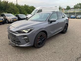 Vaurioauto  passenger cars Cupra Terramar VZ 195KW PANO Kuipstoelen Vierwielaandrijving LED VOLLE 2025/7