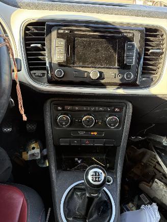 Volkswagen Beetle  picture 9