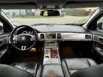 Jaguar XF 3.0 D V6 Luxury picture 14