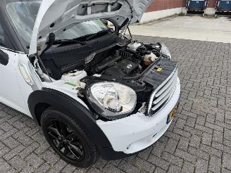 Mini Countryman 1.6 Cooper Edition Clima - Navi picture 22