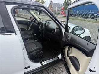 Mini Countryman 1.6 Cooper Edition Clima - Navi picture 15