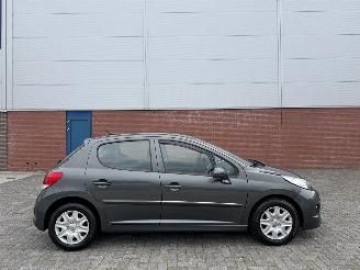 uszkodzony samochody osobowe Peugeot 207 1.6 XS AUTOMAAT 2010/3