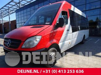 Sloopauto Mercedes Sprinter Sprinter 3,5t (906.73), Bus, 2006 / 2020 315 CDI 16V 2007/2