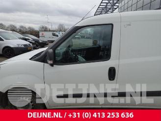 Fiat Doblo Doblo Cargo (263), Van, 2010 1.3 D Multijet picture 14