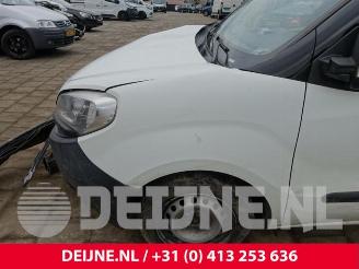 Fiat Doblo Doblo Cargo (263), Van, 2010 1.3 D Multijet picture 9