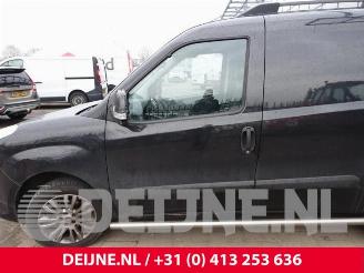 Fiat Doblo Doblo (263), MPV, 2010 / 2023 1.3 D Multijet picture 17