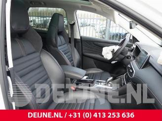 MG EHS HS/EHS, SUV, 2018 1.5 EHS T-GDI Hybrid picture 34