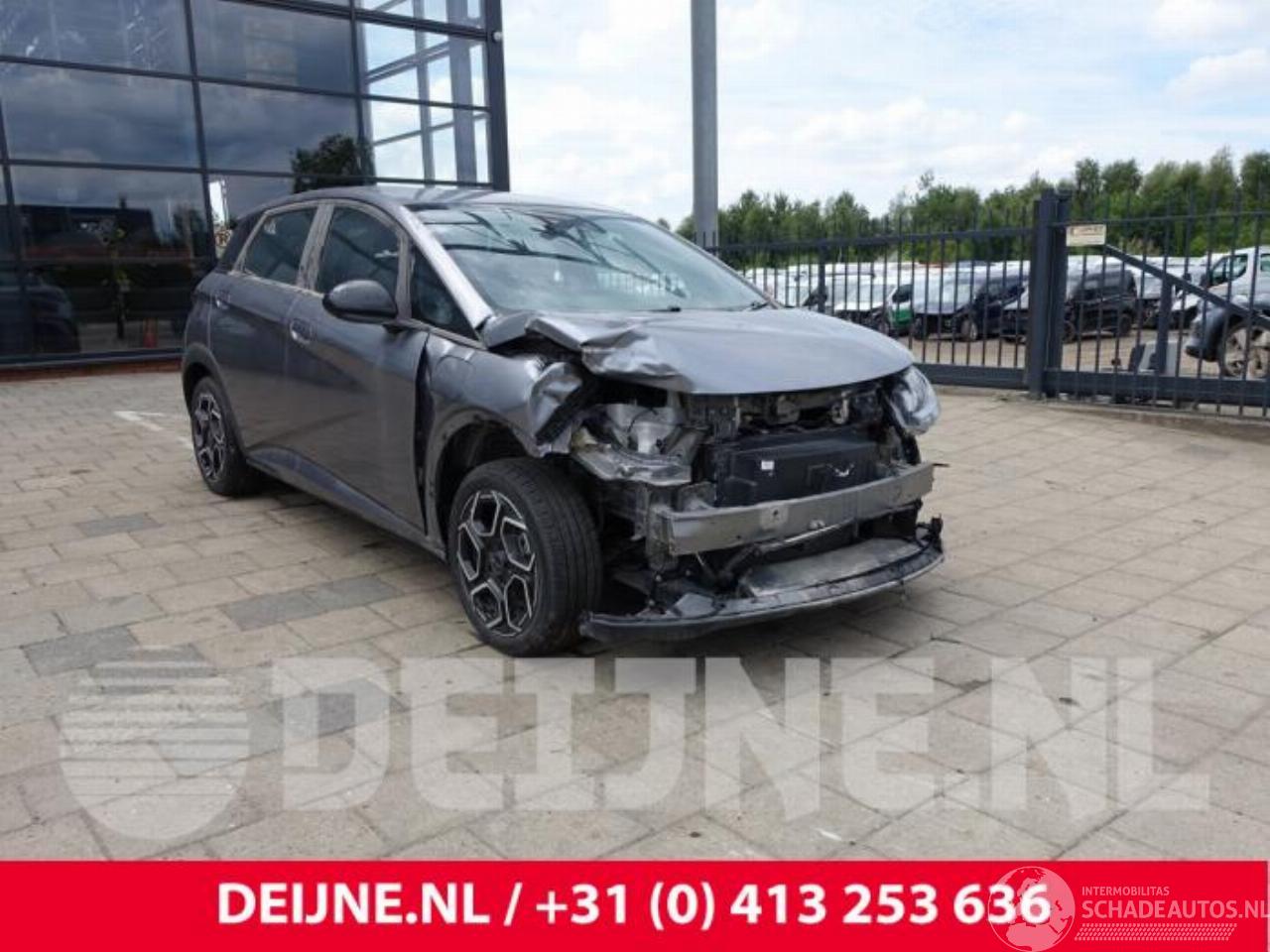 BYD Dolphin Dolphin, Hatchback 5-drs, 2021 60,4 kWh