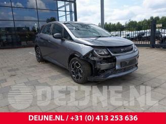 Vrakbiler auto BYD Dolphin Dolphin, Hatchback 5-drs, 2021 60 kWh 2024