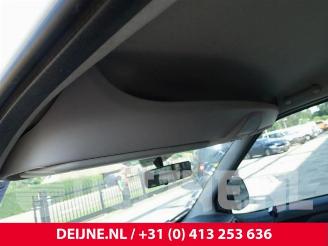 Fiat Doblo Doblo Cargo (263), Van, 2010 1.4 16V picture 18