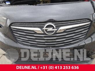 Opel Combo Combo Cargo, Van, 2018 1.5 CDTI 75 picture 34