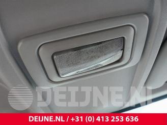 Fiat Doblo Doblo Cargo (263), Van, 2010 1.3 D Multijet picture 28