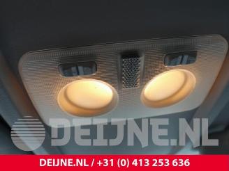 Fiat Doblo Doblo Cargo (263), Van, 2010 1.4 16V picture 22