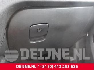 Fiat Doblo Doblo Cargo (263), Van, 2010 1.4 16V picture 28