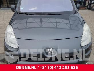 Peugeot Partner Partner (GC/GF/GG/GJ/GK), Van, 2008 / 2018 1.6 HDI 90 picture 35