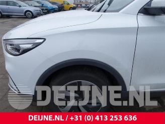 MG ZS ZS, SUV, 2019 EV Long Range 70 kWh picture 9