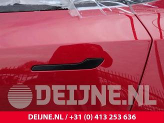 Tesla Model Y Model Y (5YJY), SUV, 2019 RWD picture 22