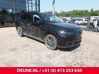 Autoverwertung Leapmotor C10 C10, SUV, 2020 69.9 kWh 2025/4