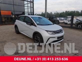 Démontage voiture BYD Dolphin Dolphin, Hatchback 5-drs, 2021 60,4 kWh 2024/4