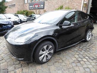 skadebil auto Tesla Model Y  2024/1