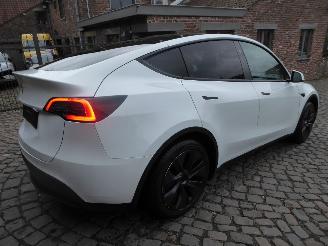 Tesla Model Y Long Range RWD picture 6