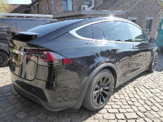 Tesla Model X Performance Dual picture 5