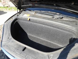 Tesla Model X Performance Dual picture 35