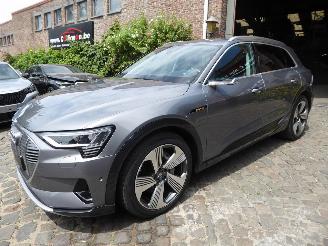 uszkodzony samochody osobowe Audi E-tron 55 quattro advanced 2019/6