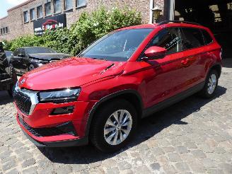  Skoda Karoq Selection 2024/9