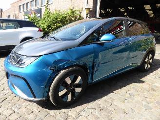 uszkodzony samochody osobowe BYD Dolphin  2024/9