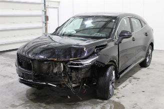 skadebil bedrijf DFSK Fengon 5  2022/12