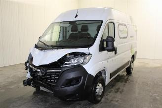 damaged passenger cars Opel Movano  2023/6