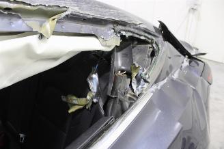 Tesla Model 3  picture 25