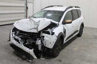 Auto incidentate Dacia Jogger  2024/10