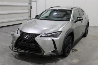 krockskadad bil auto Lexus UX  2021/5