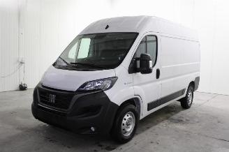 Autoverwertung Fiat Ducato  2023/1
