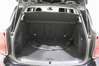 Mini Cooper _COUNTRYMAN picture 17