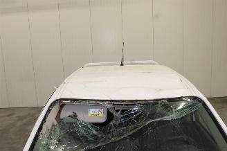 Renault Alaskan  picture 23